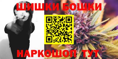 прущие грибы Сланцы