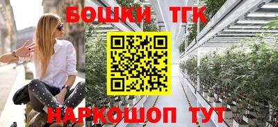 прущие грибы Сланцы