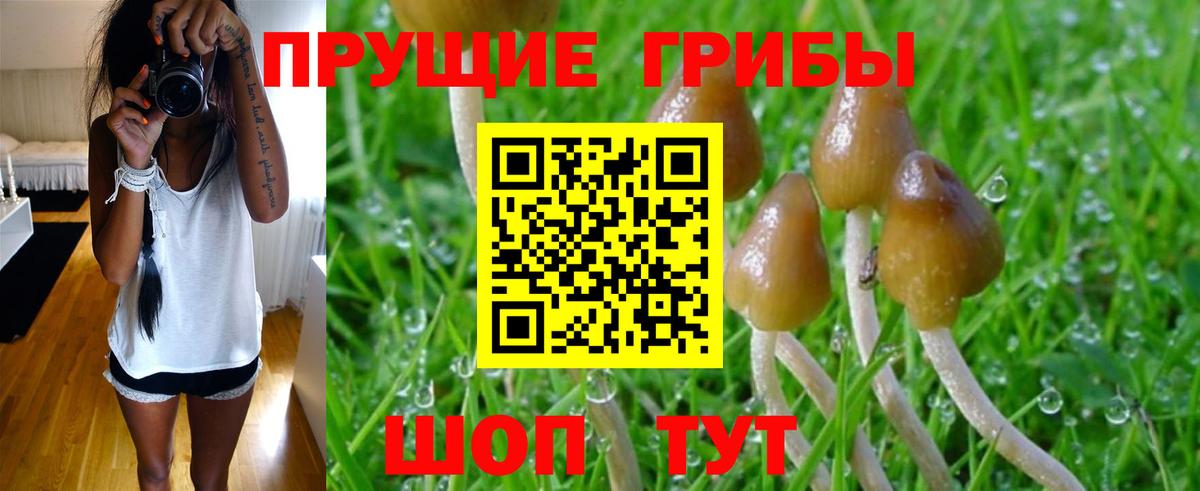 Псилоцибиновые грибы Magic Shrooms Ногинск