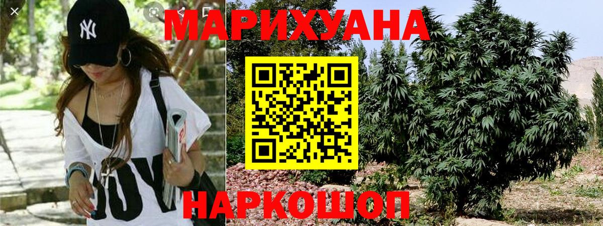 Каннабис ГИДРОПОН Ногинск